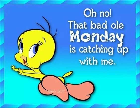 Oh No! That Bad Ole Monday Is Catching Up With Me Pictures, Photos, and