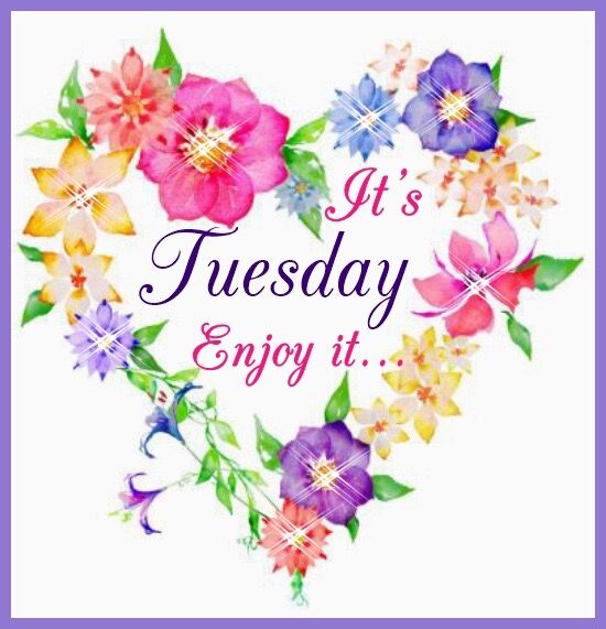 It's Tuesday, Enjoy It... Pictures, Photos, and Images for Facebook