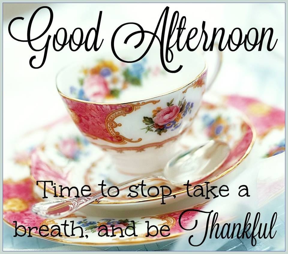 Good Afternoon, Time To Stop, Take A Breathe And Be Thankful Pictures