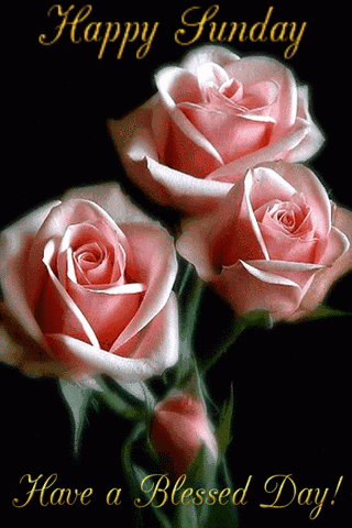 Animated valentines gif glitter hearts entertainmentmesh happy messages Happy Sunday Pictures, Photos, and Images for Facebook, Tumblr