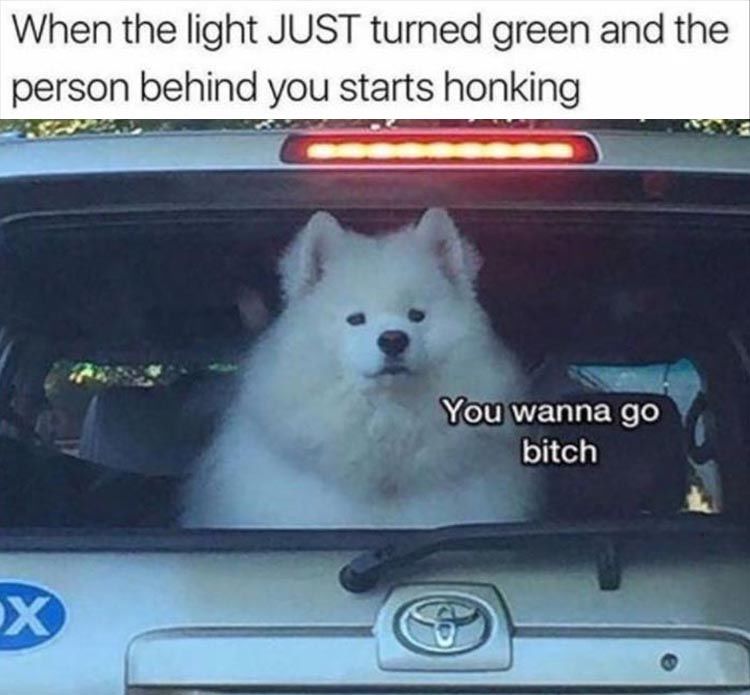 Collection 92+ Pictures a light that has just turned green is Superb Collection 92+ Pictures a light that has just turned green is Superb