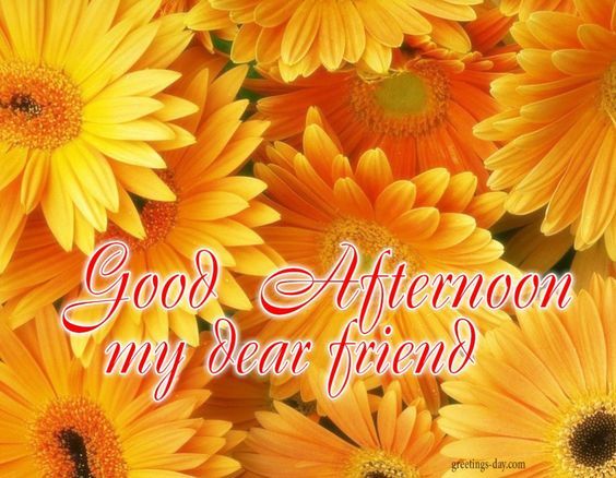 Good Afternoon My Dear Friend Pictures, Photos, and Images for Facebook