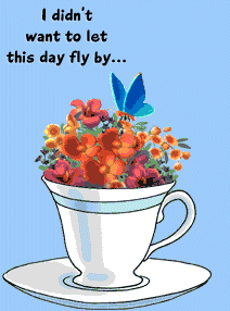 I Didn't Want To Fly By Without Sending A Little Hi 