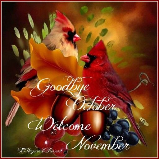 Goodbye October, November Pictures, Photos, and Images for