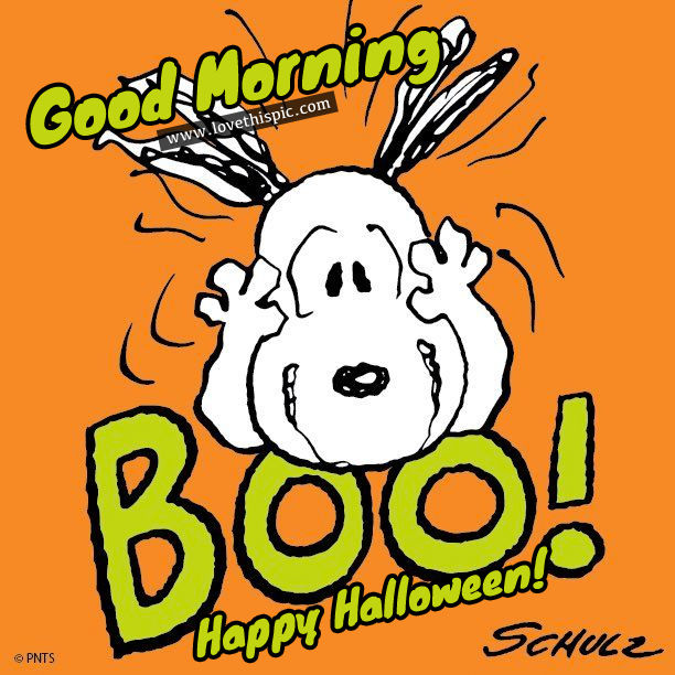 Good Morning, Boo! Happy Halloween! Pictures, Photos, and Images for
