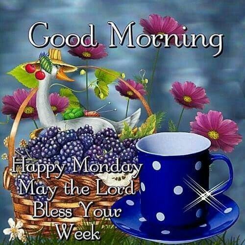 Good Morning, Happy Monday. May The Lord Bless Your Week Pictures