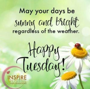 May Your Days Be Sunny And Bright. Happy Tuesday Pictures, Photos, and