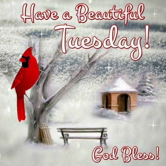 Have A Beautiful Tuesday Pictures, Photos, and Images for Facebook