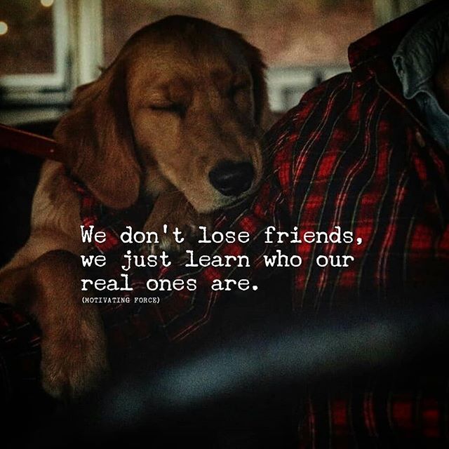 We Dont Lose Friends Pictures, Photos, and Images for 