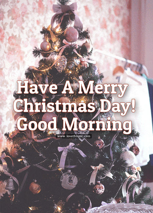 Merry christmas morning Have A Merry Christmas Day! Good Morning Pictures, Photos, and Images for Facebook, Tumblr