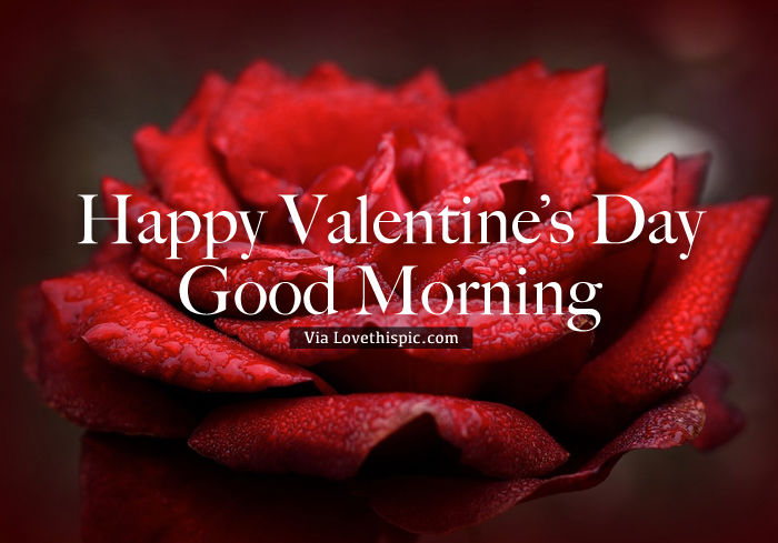 Happy Valentine's Day, Good Morning Pictures, Photos, and Images for