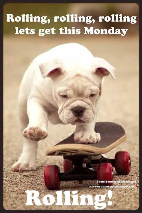 Rolling, Rolling, Rolling Lets Get This Monday Rolling! Pictures