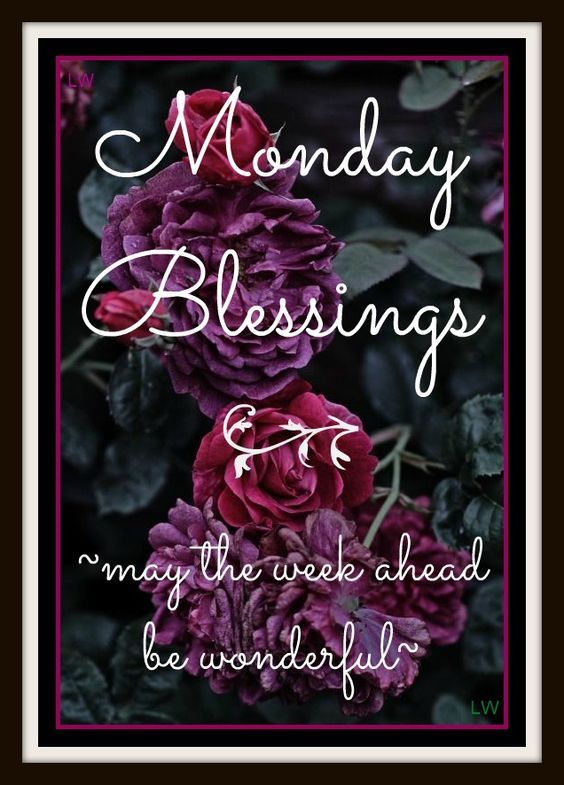 Wonderful Week Ahead, Monday Blessings Pictures, Photos, and Images for
