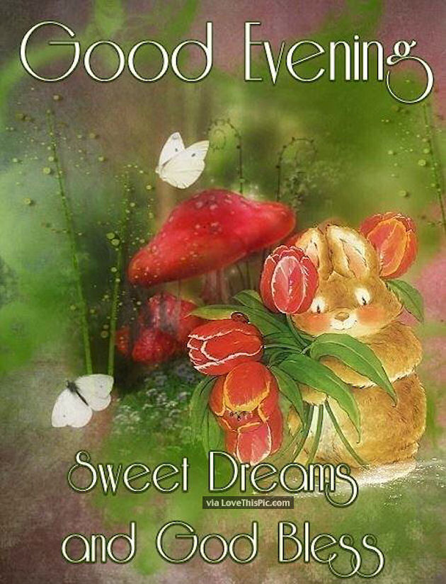 Good Evening Sweet Dreams And God Bless Pictures, Photos, and Images