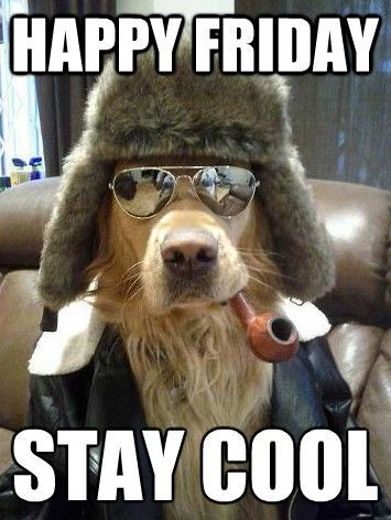 Happy Friday, Stay Cool Pictures, Photos, and Images for Facebook