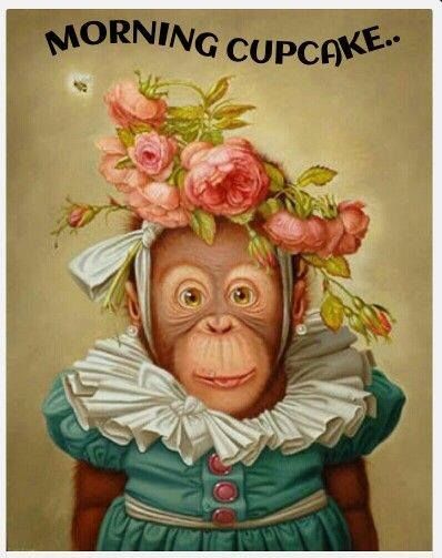 Monkey Morning Cupcake Quote Pictures, Photos, and Images for Facebook