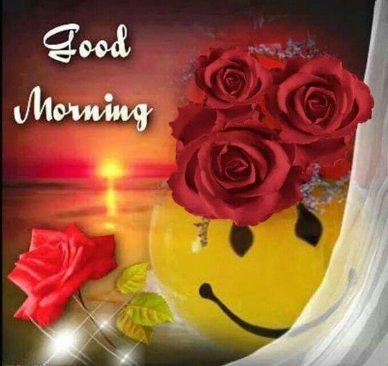 Smiley Rose Good Morning Pictures, Photos, and Images for Facebook