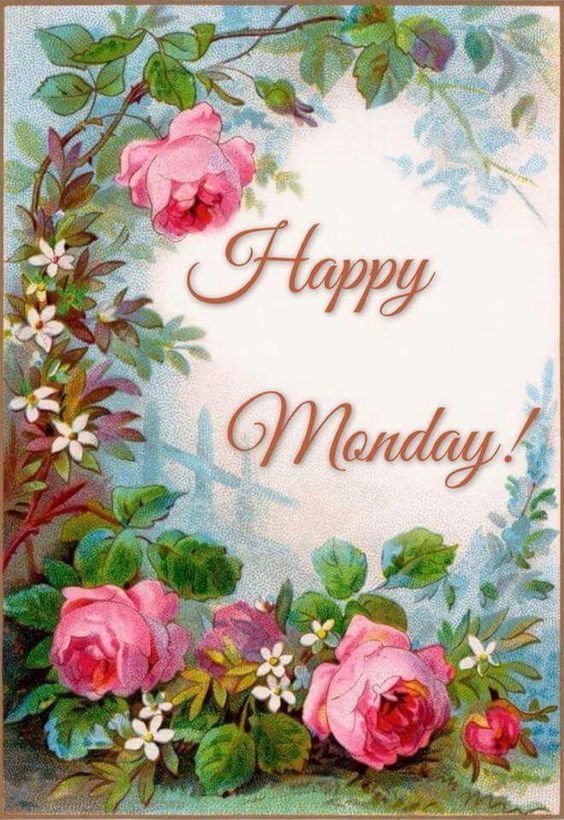 Illustration Rose Happy Monday Pictures, Photos, and Images for