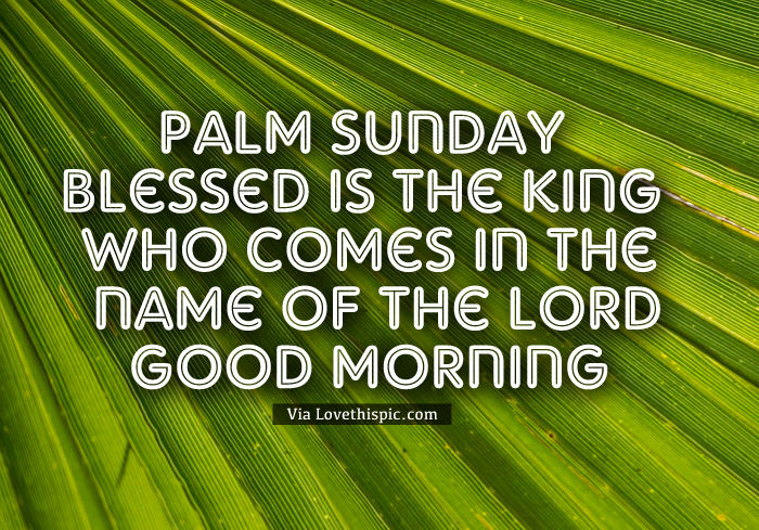Palm Sunday Blessed Is The King Who Comes In The Name Of The Lord, Good