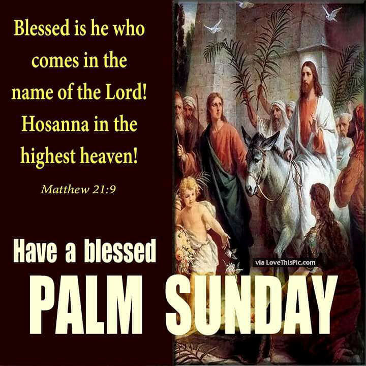 Have A Blessed Palm Sunday Pictures, Photos, and Images for Facebook