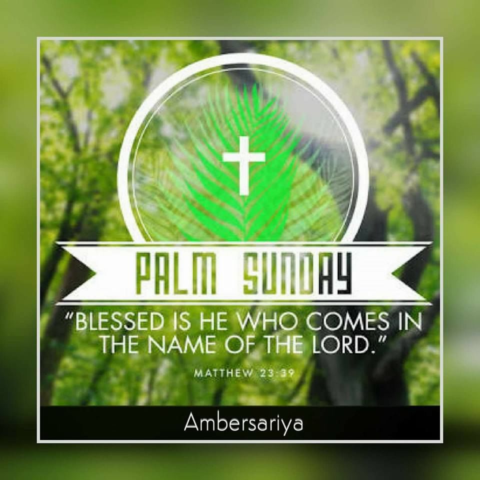 Palm Sunday Blessed Is He Who Comes In The Name Of The Lord Pictures