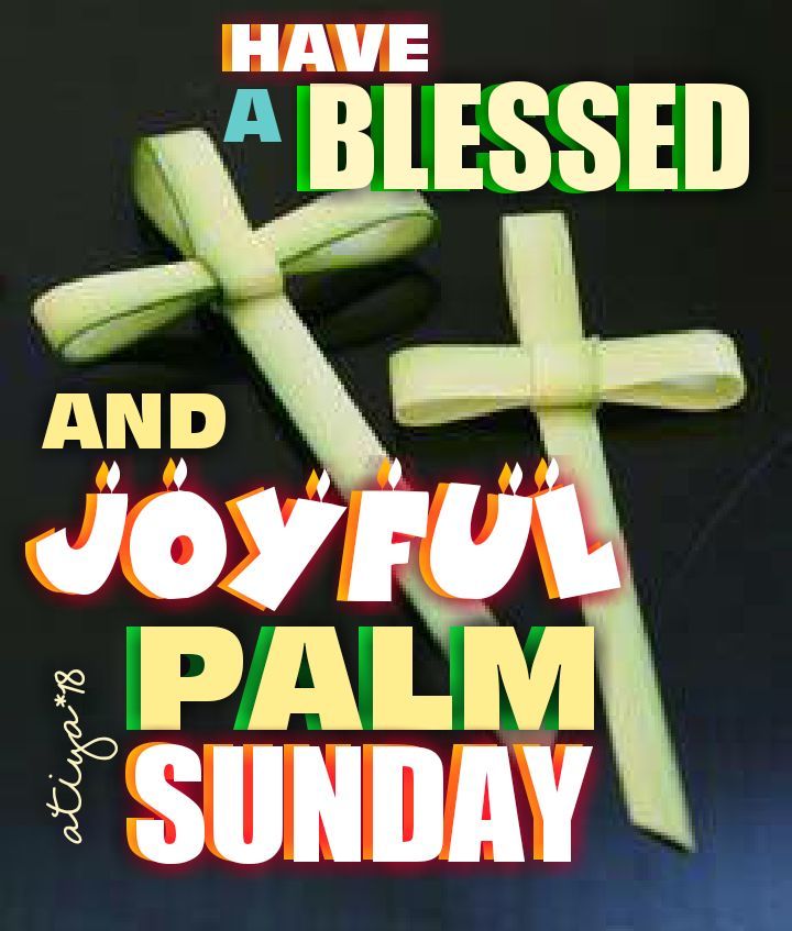 Have A Blessed And Joyful Palm Sunday Pictures, Photos, and Images for