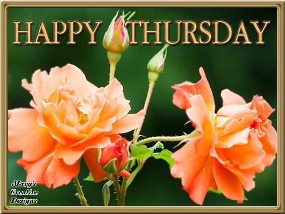 Blooming Thursday Pictures, Photos, and Images for Facebook, Tumblr