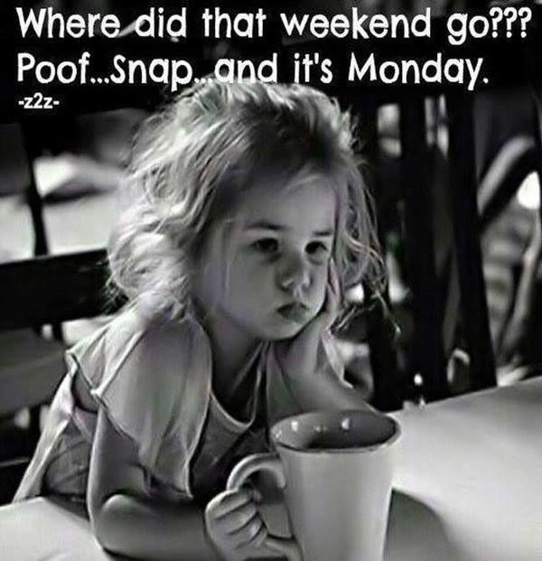 Where Did That Weekend Go??? Poof...Snap...and It's Monday Pictures
