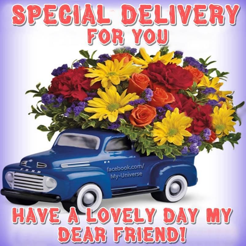 Special Delivery For You, Have A Lovely Day My Dear Friend! Pictures