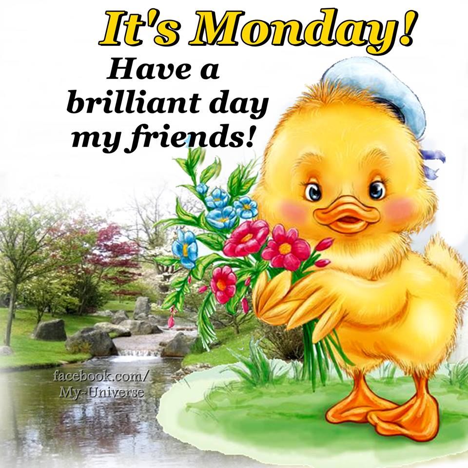 Have A Brilliant Day My Friends Pictures, Photos, and Images for