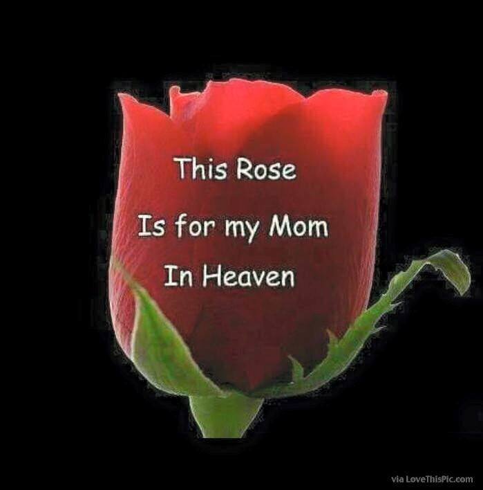 This Rose Is For My Mom In Heaven... Pictures, Photos, and Images for