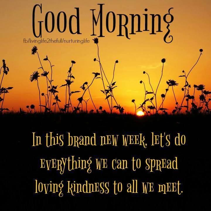 In This Brand New Week, Lets Do Everything We Can To