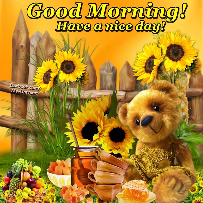 Good Morning Have A Nice Day Pictures Photos And Images For