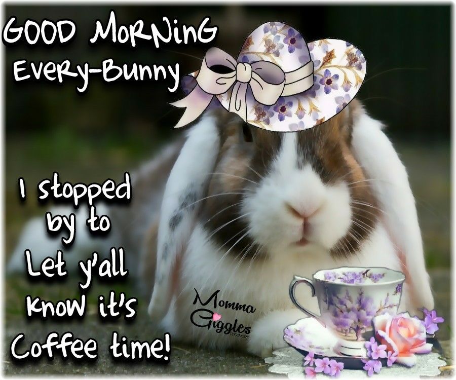 Good Morning EveryBunny Pictures, Photos, and Images for Facebook