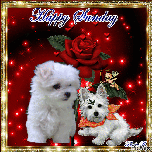 Puppy Happy Sunday Pictures, Photos, and Images for 