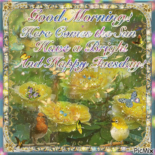 Here Comes The Sun, Have A Bright And Happy Tuesday Pictures, Photos