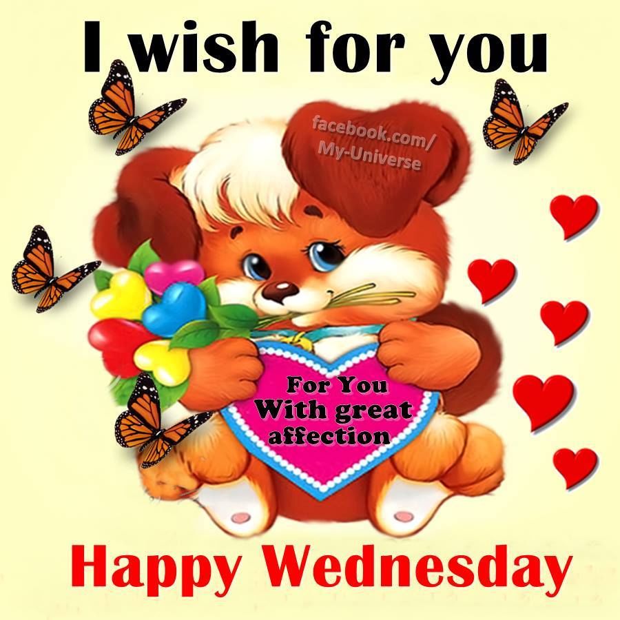 I Wish For You, Happy Wednesday Pictures, Photos, and Images for