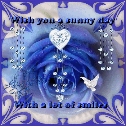 Wishing You A Sunny Day With Lots Of Smiles... Pictures, Photos, and