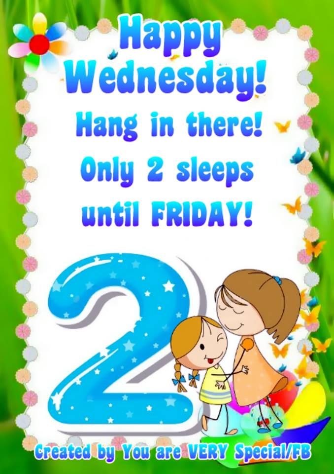 Happy birthday persian party kitten seal wearing point Hang In There! Only 2 Sleeps Until Friday! Happy Wednesday Pictures