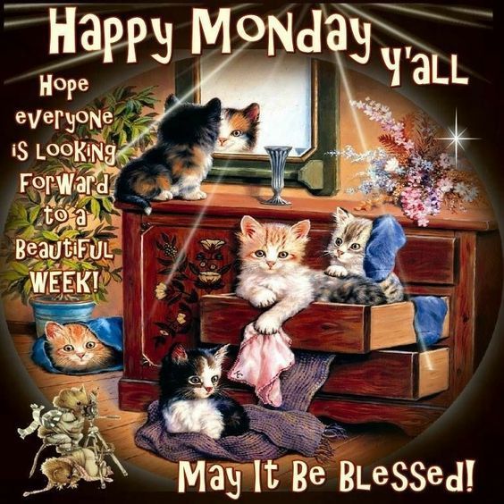 Happy Monday Y'all. May It Be Blessed Pictures, Photos, and Images for