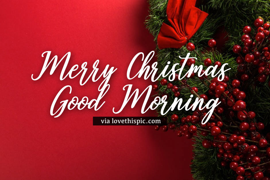 Mistletoe merry christmas good morning image pictures, photos, and images for facebook, tumblr Mistletoe Merry Christmas Good Morning Image Pictures, Photos, and Images for Facebook, Tumblr