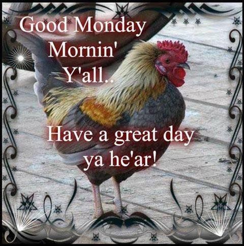 Good Monday Morning Yall Pictures, Photos, and Images for Facebook, Tumblr, Pinterest, and Twitter