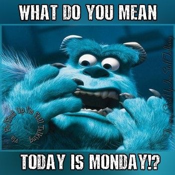 What Do You Mean Today Is Monday? Pictures, Photos, and Images for