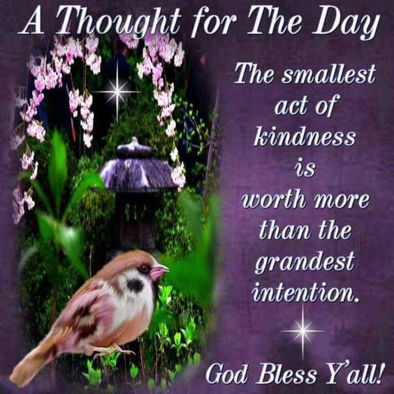 A Thought For The Day Pictures, Photos, and Images for Facebook, Tumblr