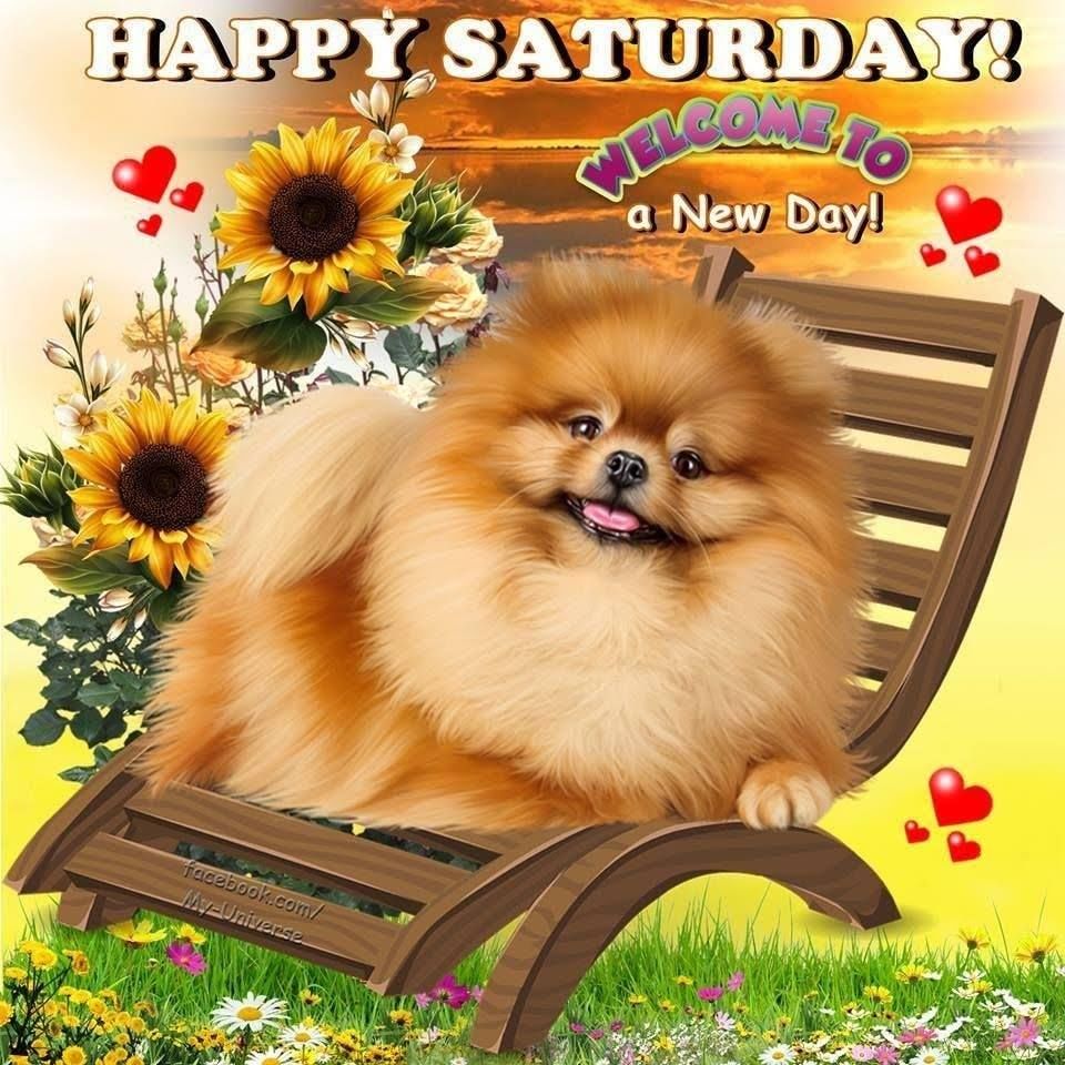 Welcome To A New Day Happy Saturday Pictures Photos And Images For