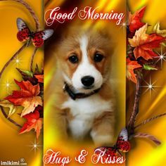 Puppy Hugs And Kisses Good Morning Quote Pictures, Photos, and Images