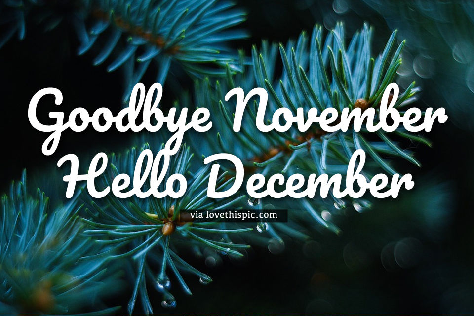 Pine Tree Goodbye November Hello December Quote Pictures