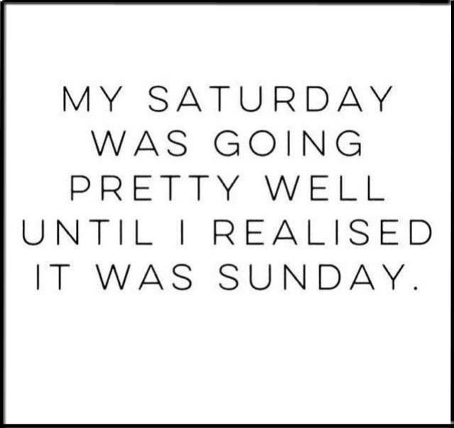 My Saturday Was Going Pretty Well Until I Realized It Was Sunday
