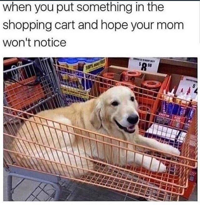 When You Put Something In The Shopping Cart And Hope Your Mom Won't