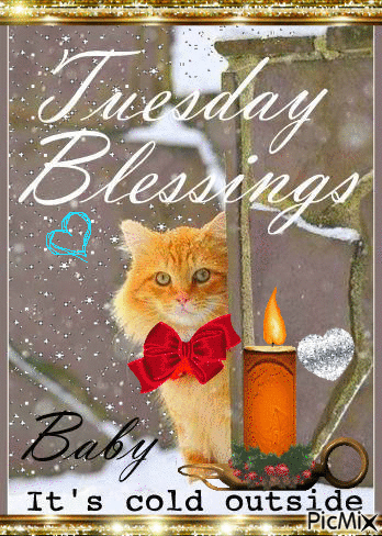 Baby It's Cold Outside, Tuesday Blessings Pictures, Photos, and Images